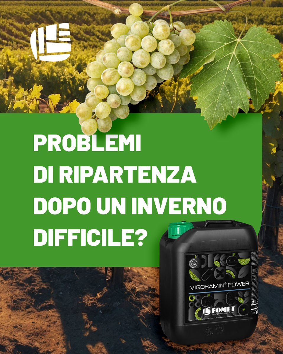 fometfert's tweet photo. 🌿Vigoramin® Power è un formulato unico e innovativo, frutto della ricerca di Fomet SpA.

Una soluzione esclusiva che combina in modo bilanciato amminoacidi, estratti di lievito e alghe brune, grazie a una funzionale integrazione tra Ascophyllum nodosum ed Ecklonia maxima.
#fomet https://t.co/YB7Qv9zrhd