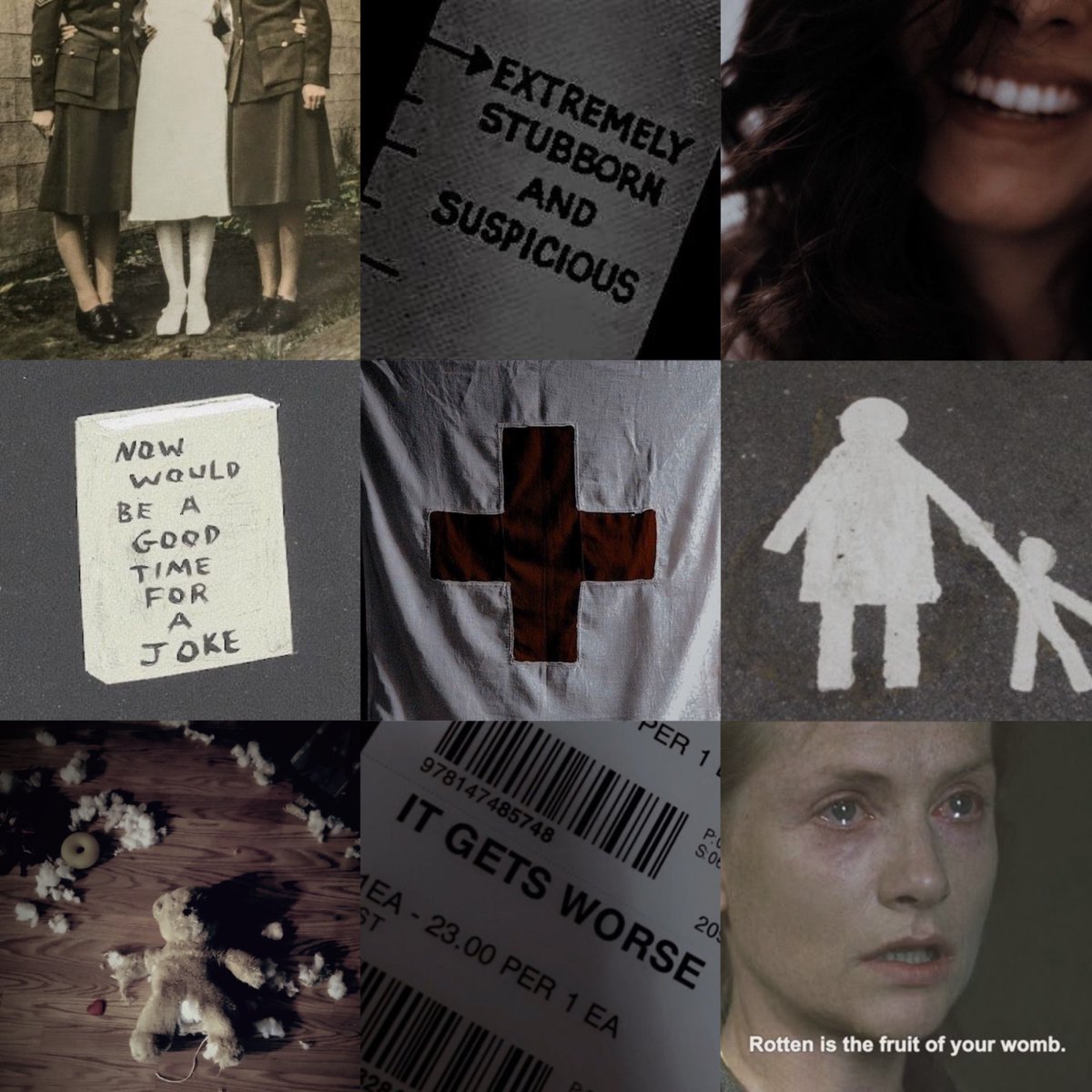 may 🍋🐬 tweet media