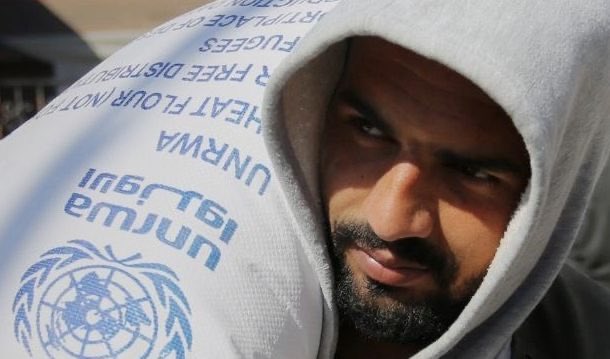 Holly Doan tweet media