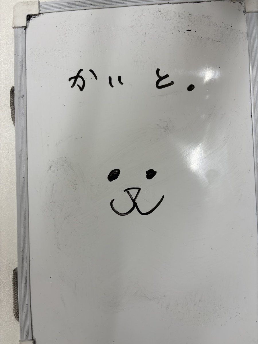 関 海人 tweet media