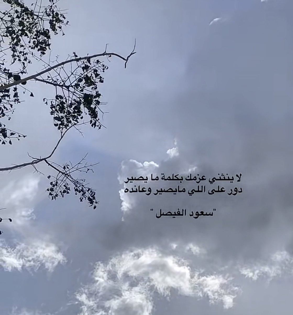 🇸🇦✿سمهر tweet media