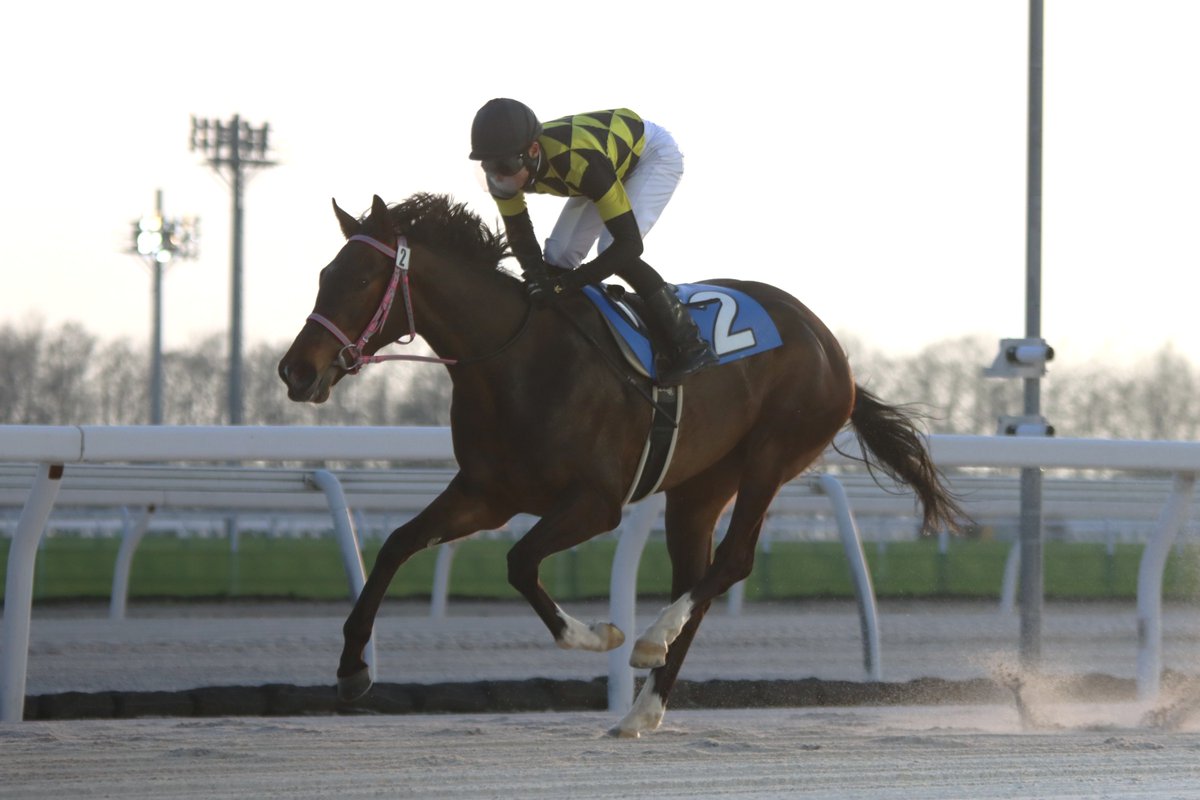 がんばれ！ホッカイドウ競馬 tweet media