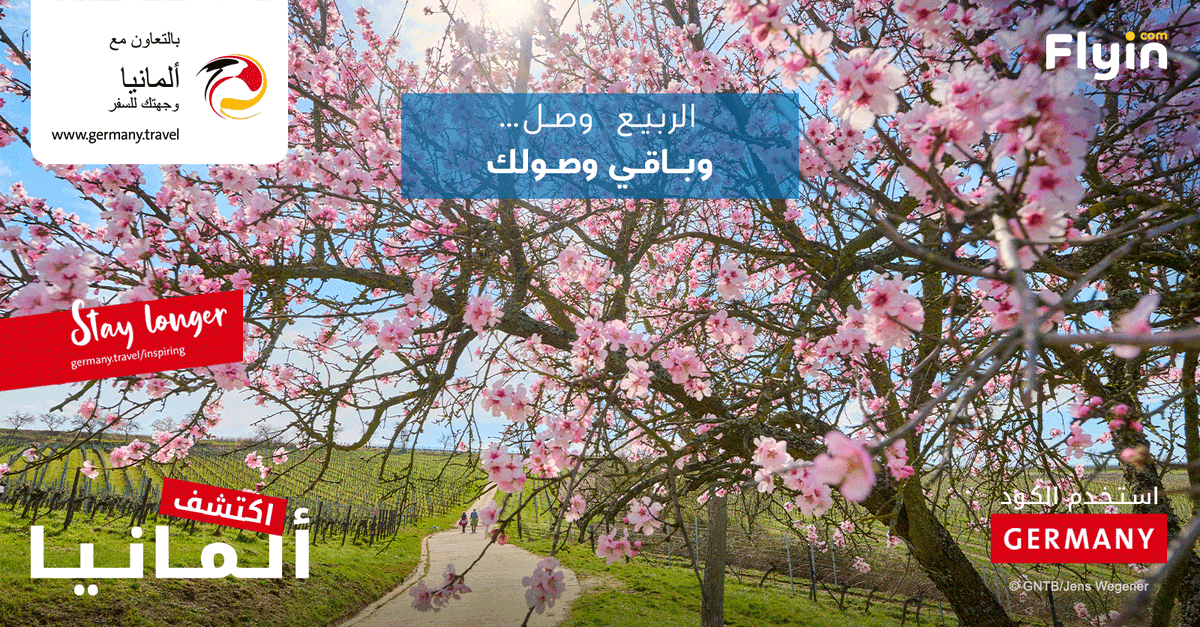 Flyin | فلاي إن tweet media