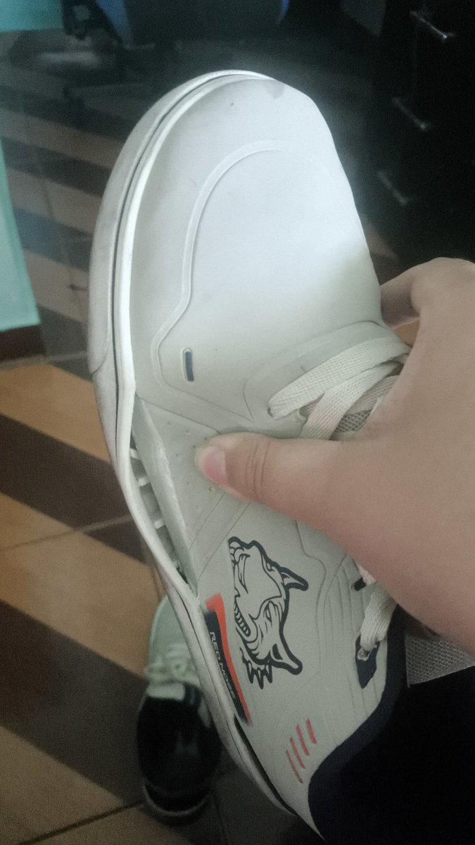 Ella Hawk tweet media