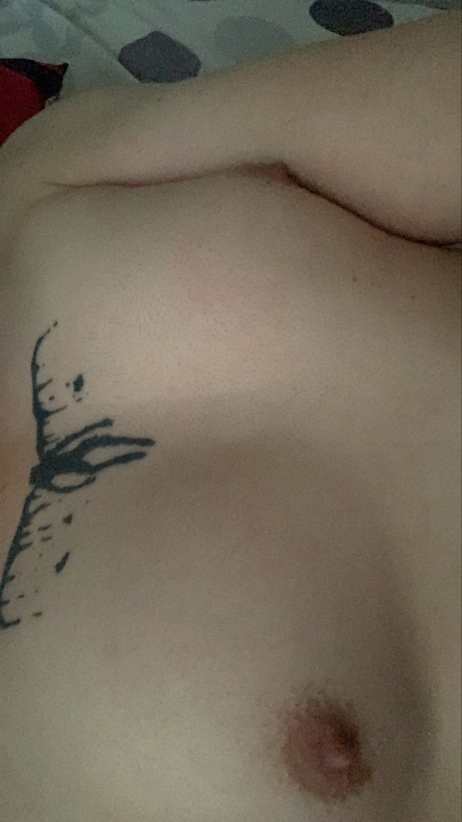 🐈‍⬛🐈‍⬛ tweet media