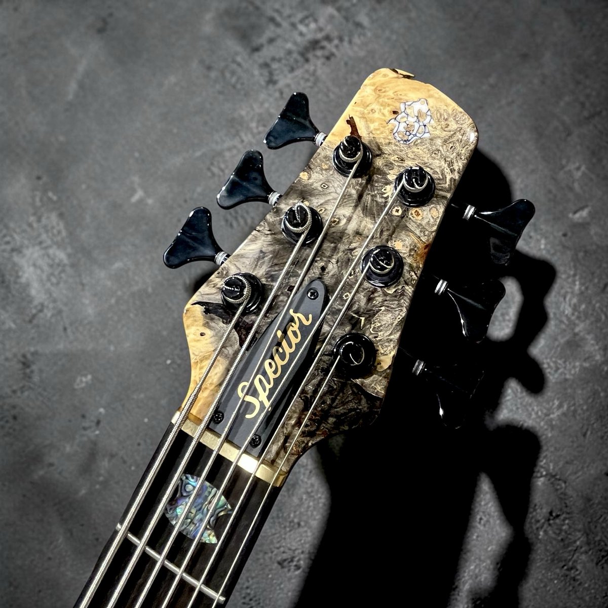 shibuyakey's tweet photo. 単なる高級材モデルではなく実戦仕様というバランスの取れた1本。

Spector  USA Custom Shop NS-6 BEB/RW M/EB MH EMG NTLG #2220
🔗 https://t.co/SogbhkIpX5

#Spectorbass 
#spector 
#bass 
#スペクター 
#ベース https://t.co/WVc41ZMwGx