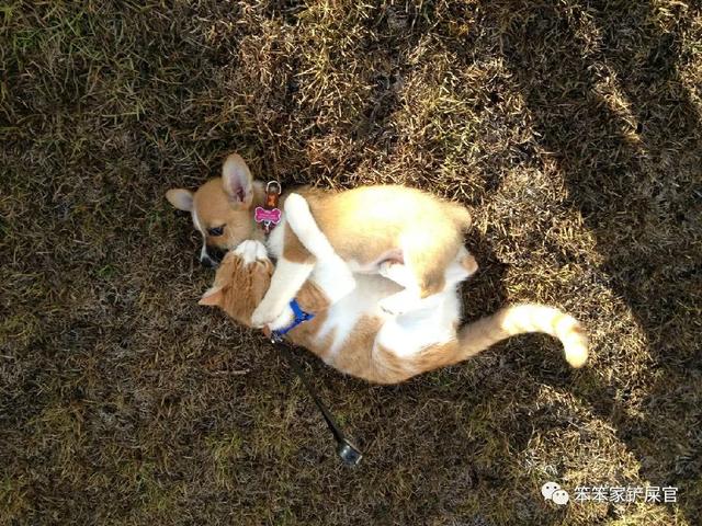 Voleta Prykins tweet media