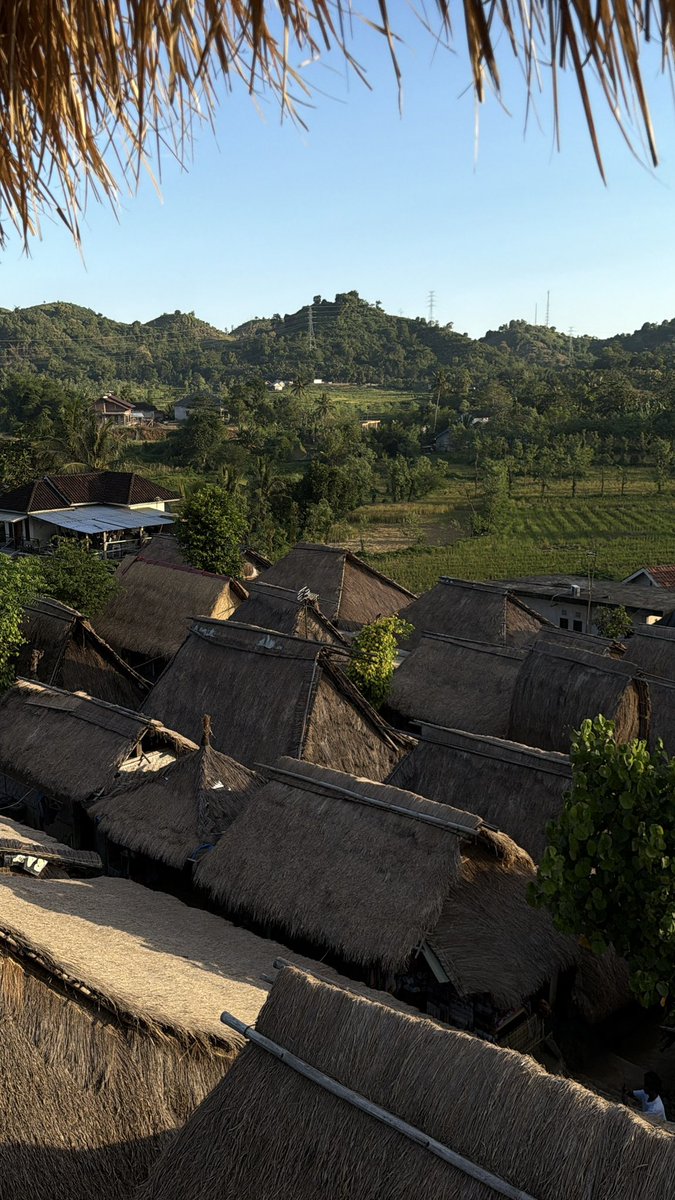 isa amane tweet media