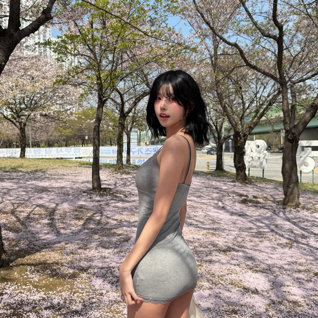 최솜이 tweet media