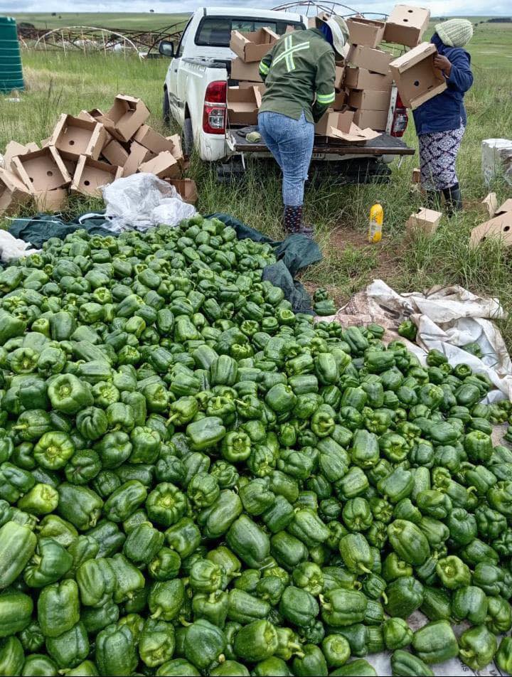 Agribusiness Media tweet media