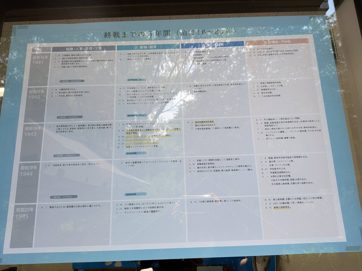 うめこ tweet media