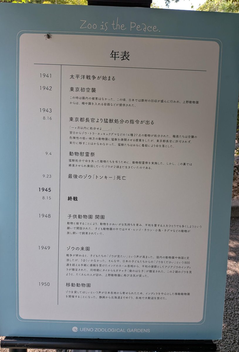 うめこ tweet media