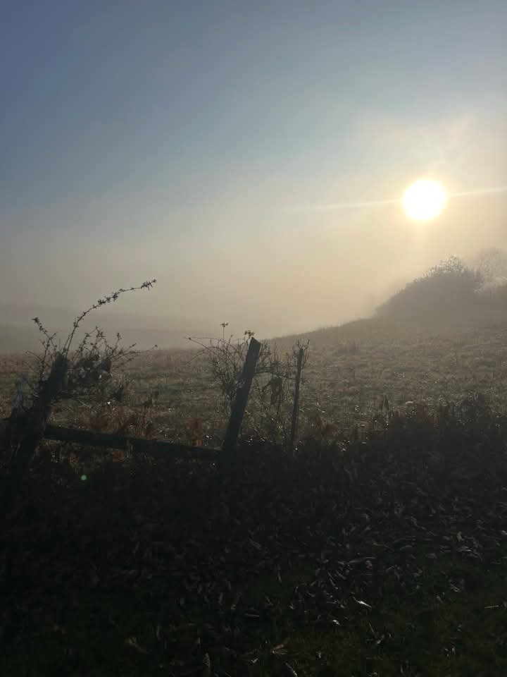 Guissepie31393's tweet image. Sunrise happens, but once a day. Yet, it has over 8 billion unique opportunities. 

          #sunrise  #goodmorning