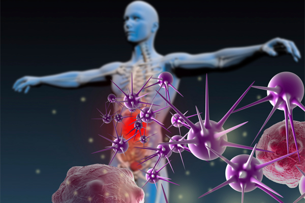 adv_immunology's tweet image. Principles of Immunology.....tinyurl.com/yvvr3zzv
To know more about immunology, Kindly visit our website.....immunologyconclave.com #immunology #vaccines #cells