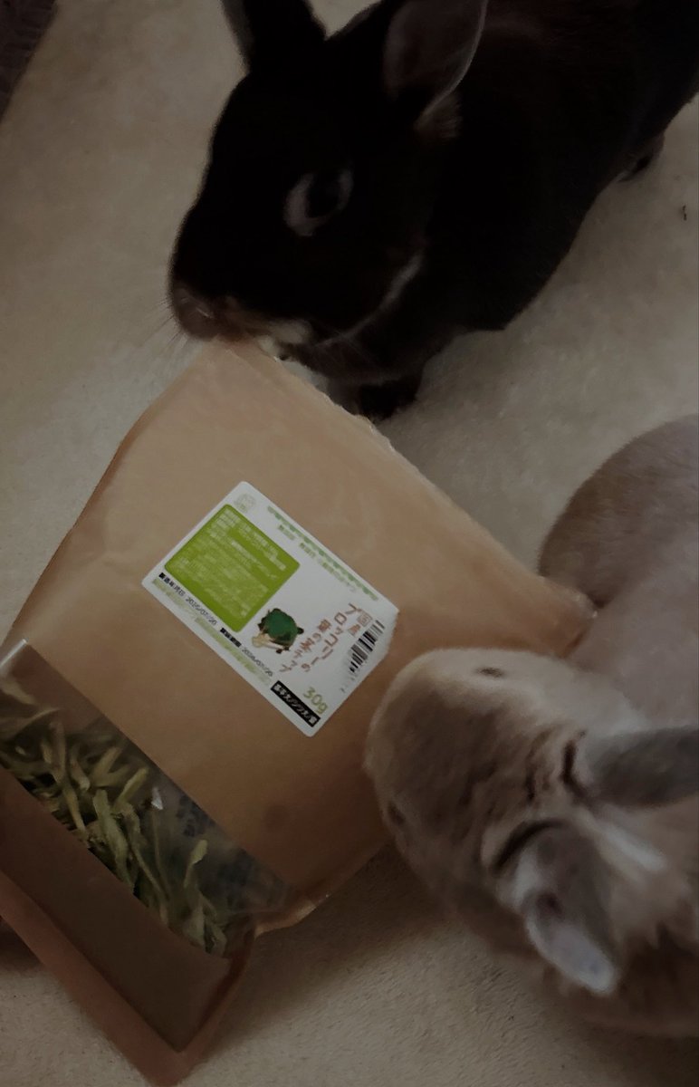 おりゅ tweet media