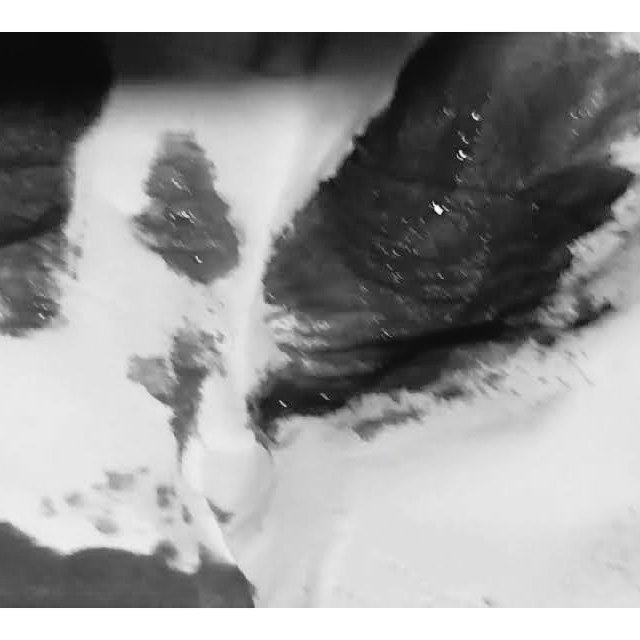 艾妲🥃小廢物頻率調整中 tweet media