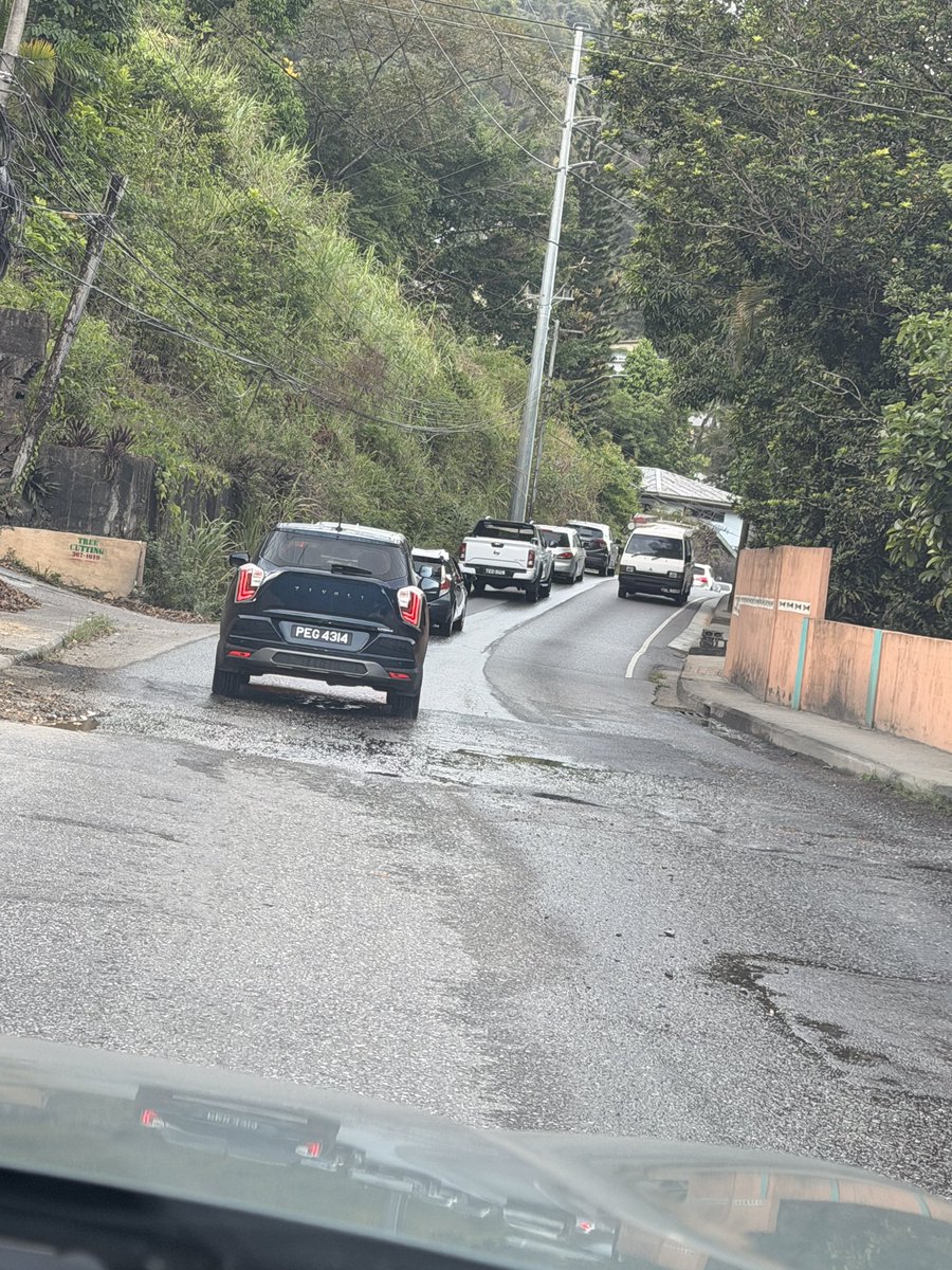 Sufi Gypsy 🇹🇹 tweet media