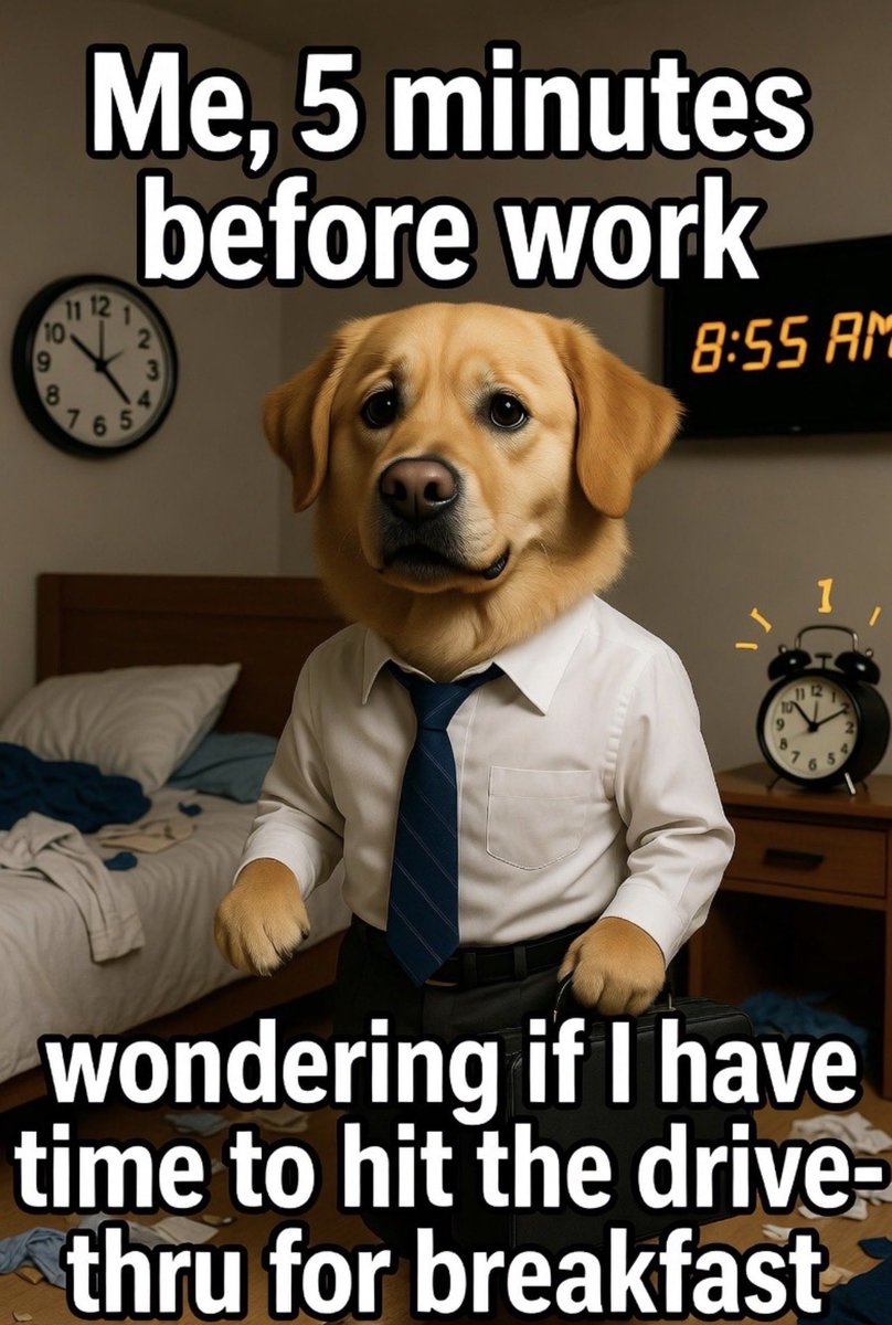 kachu Boss tweet media