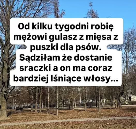 Maja tweet media