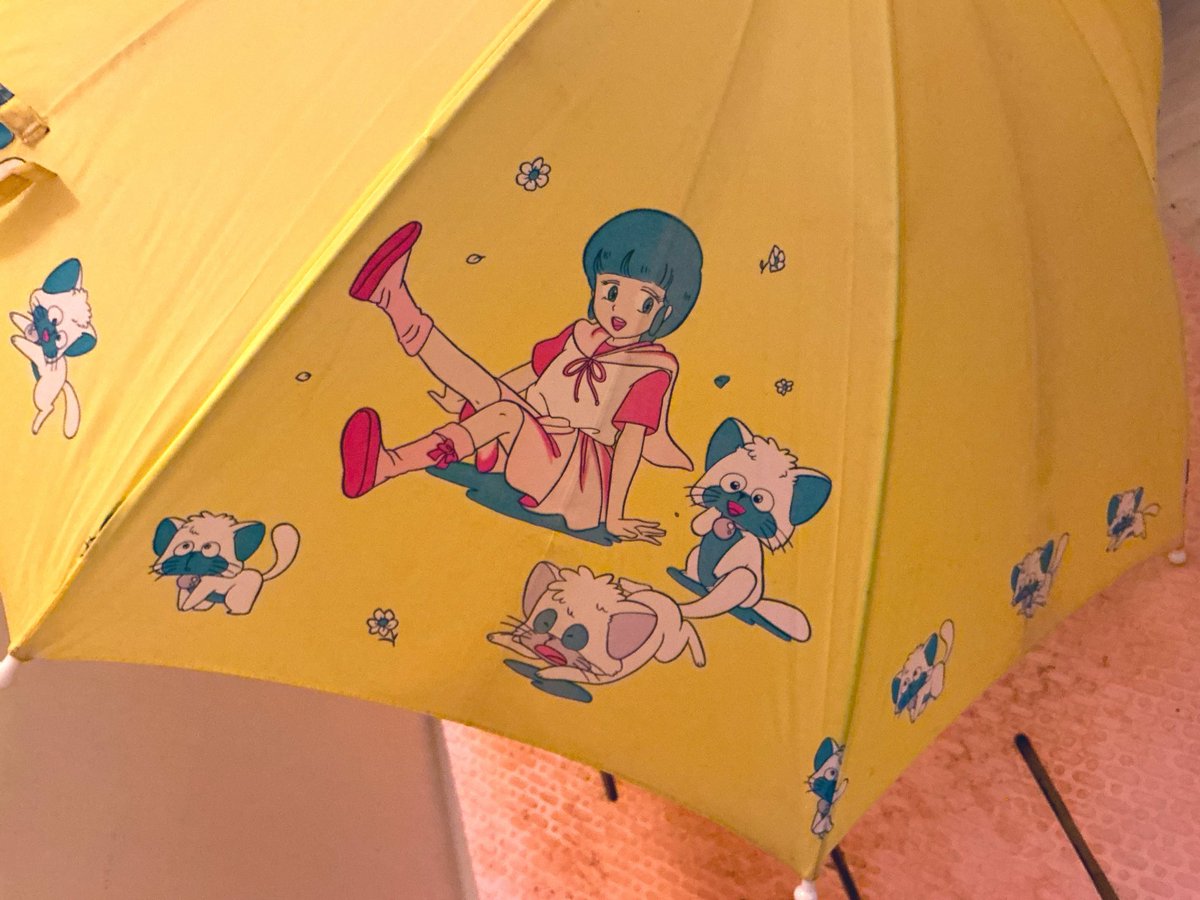 ライダー神風@人生最終楽章終活中 tweet media