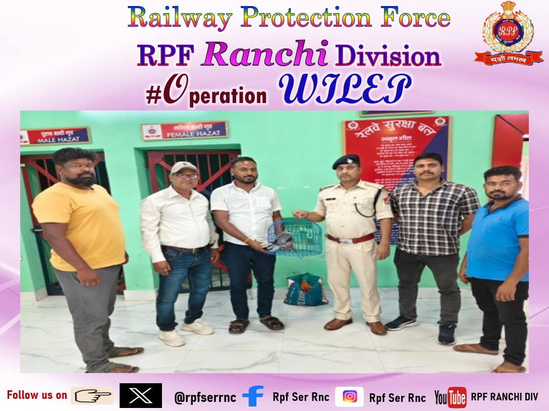 rpfserrnc's tweet photo. 14.04.2026 को आरपीएफ पोस्ट मुरी ने ट्रेन संख्या 18616 से एक चील के बच्चे को सुरक्षित बचाया और उसे सिल्ली में वन विभाग को सौंप दिया।
#OperationWILEP
#RPF_Ranchi_Division https://t.co/fhPJCWBDsd