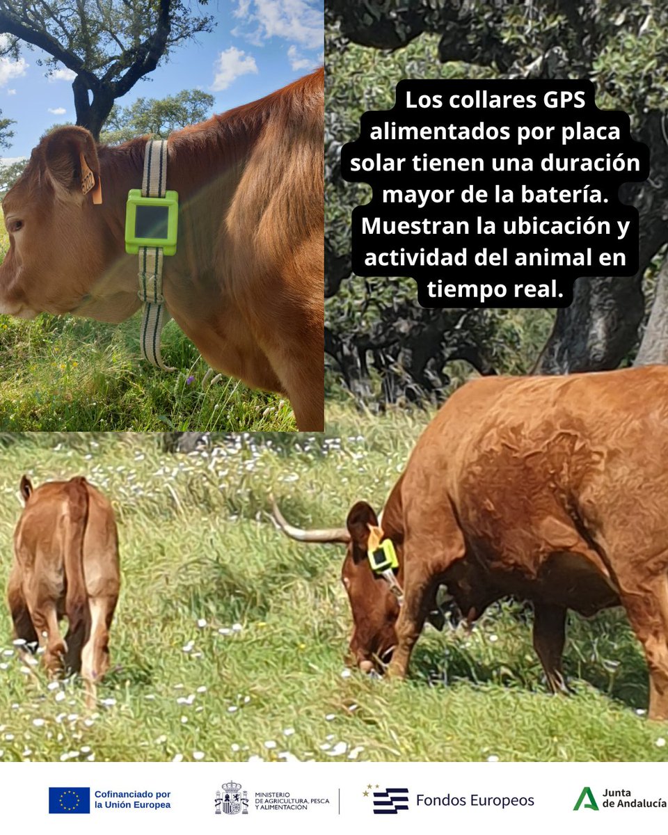 Demofarm Andalucia tweet media