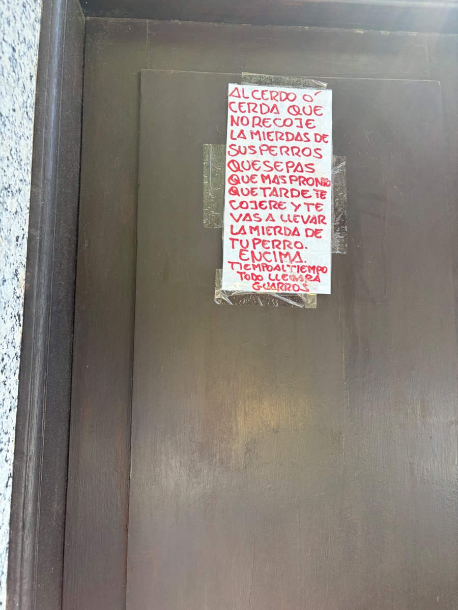 Museo Ilicitano tweet media