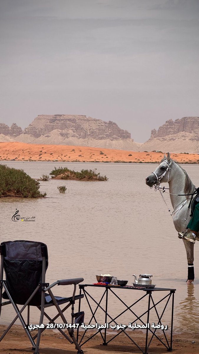 خالد بن سعود 🏕. tweet media