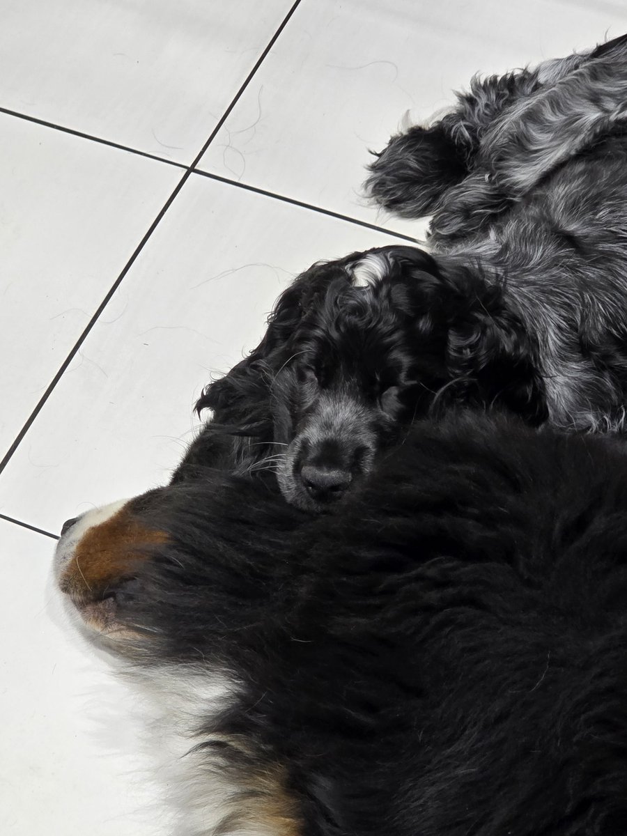 Grzegorz tweet media