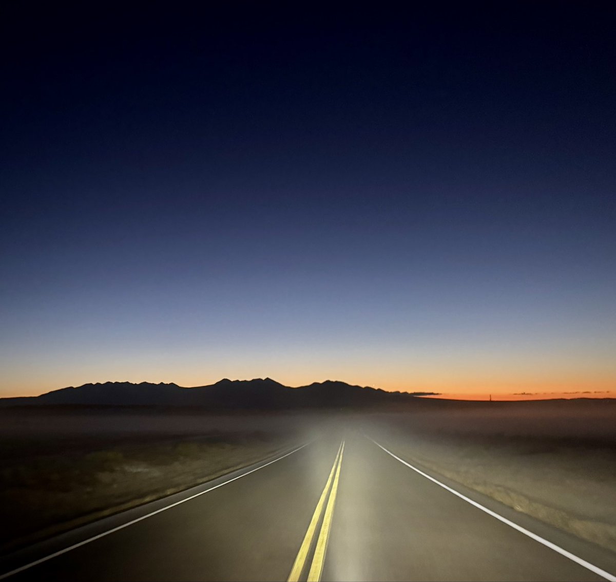 D Miller tweet media