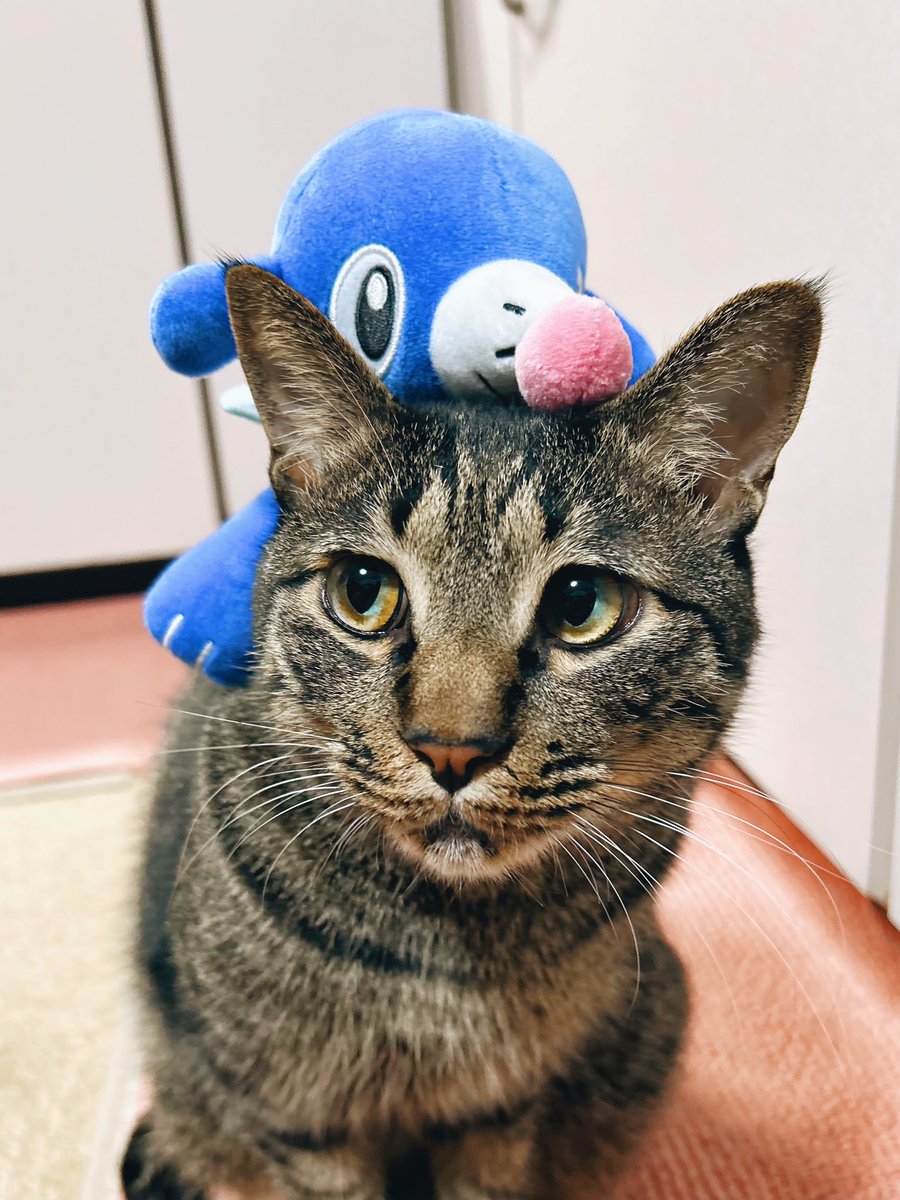 𝙇𝙊𝙉 tweet media