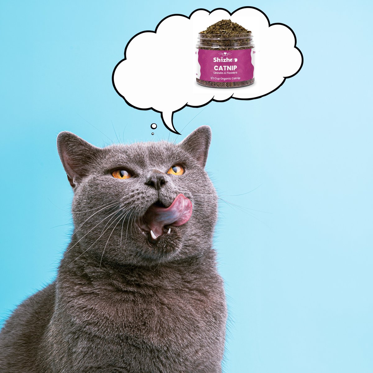 shizh00's tweet image. Brain: 0% thoughts, 100% #SHIZHOO Organic Catnip. 🧠🌿 The craving is real. 🐈‍⬛🔥 #Catnip #FelineEnergy #TrendingPets

Shop Now: amzn.to/4qd1NBz

#Cat #Caturday #shizhoo  #pet #CatsOfX