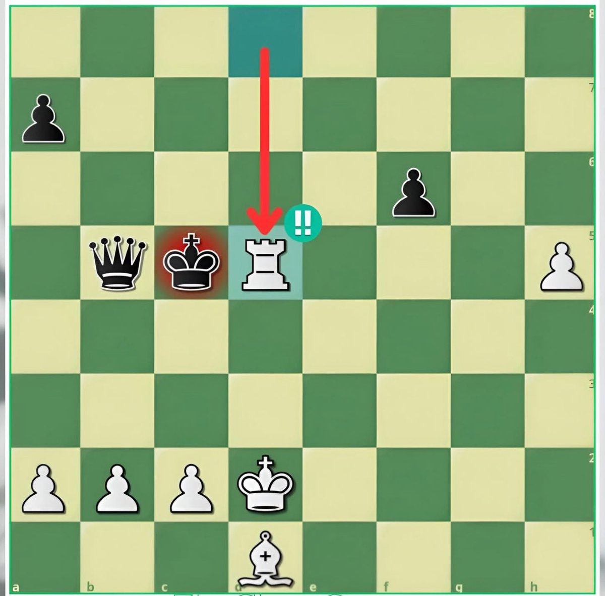 Chess Master tweet media