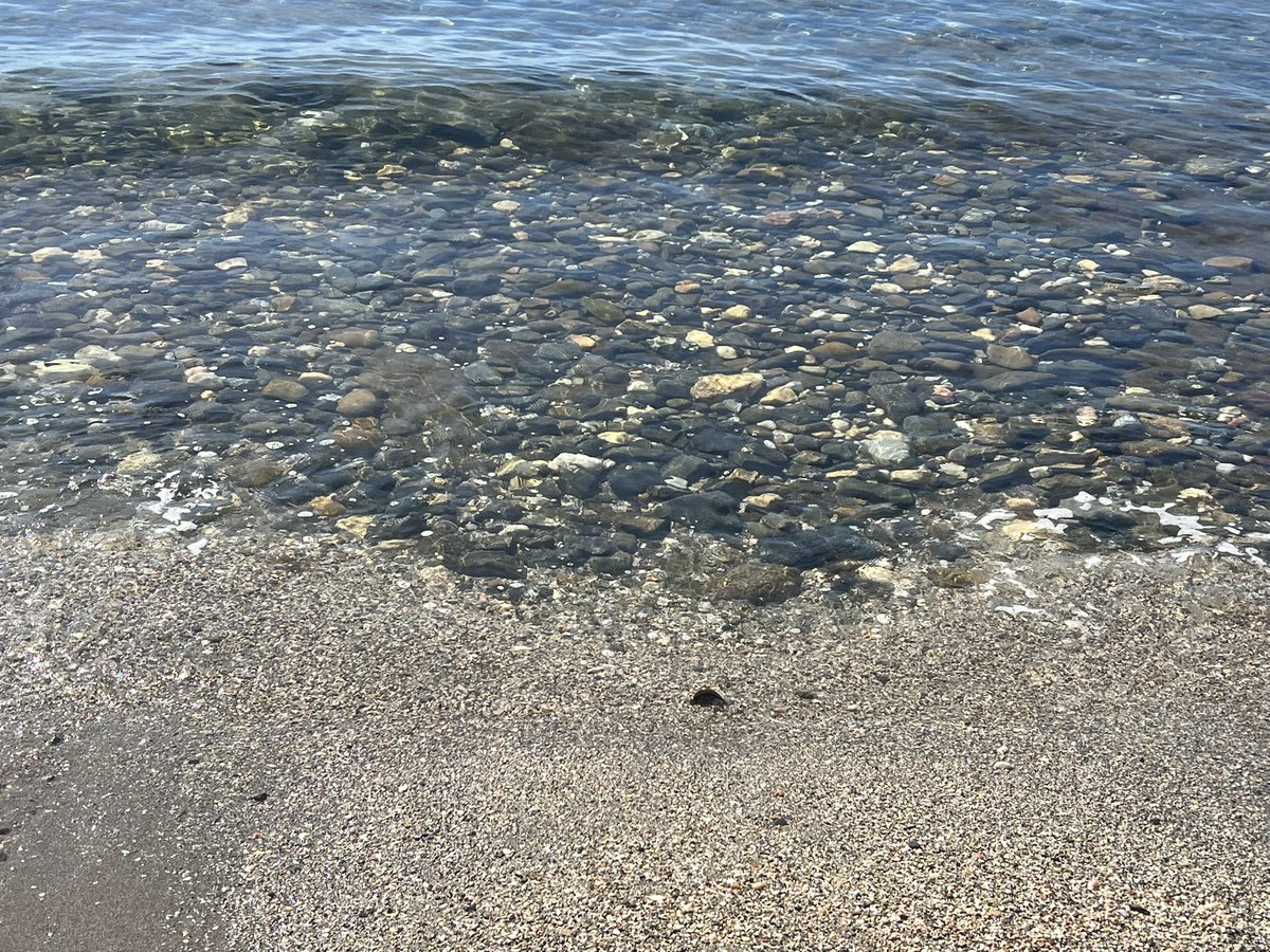 donkeysavage84's tweet image. Family time on the beach after all the traveling yesterday and the beach is only 10 mins walk from Dads Villa 💪⛱️ #FamilyTime #beachday #beachvibes #recoveryjounrey2026 #spainadventure2026