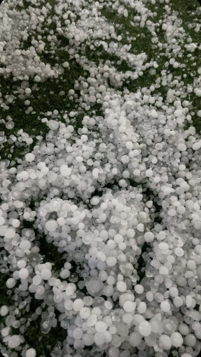 ﮼3zoz✨ tweet media