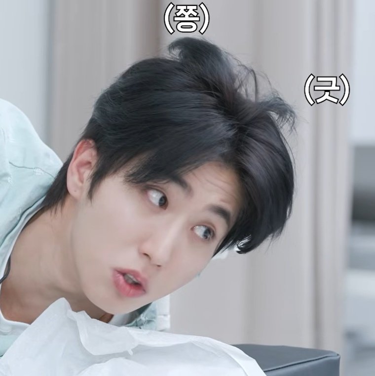 퀔냥냥 tweet media