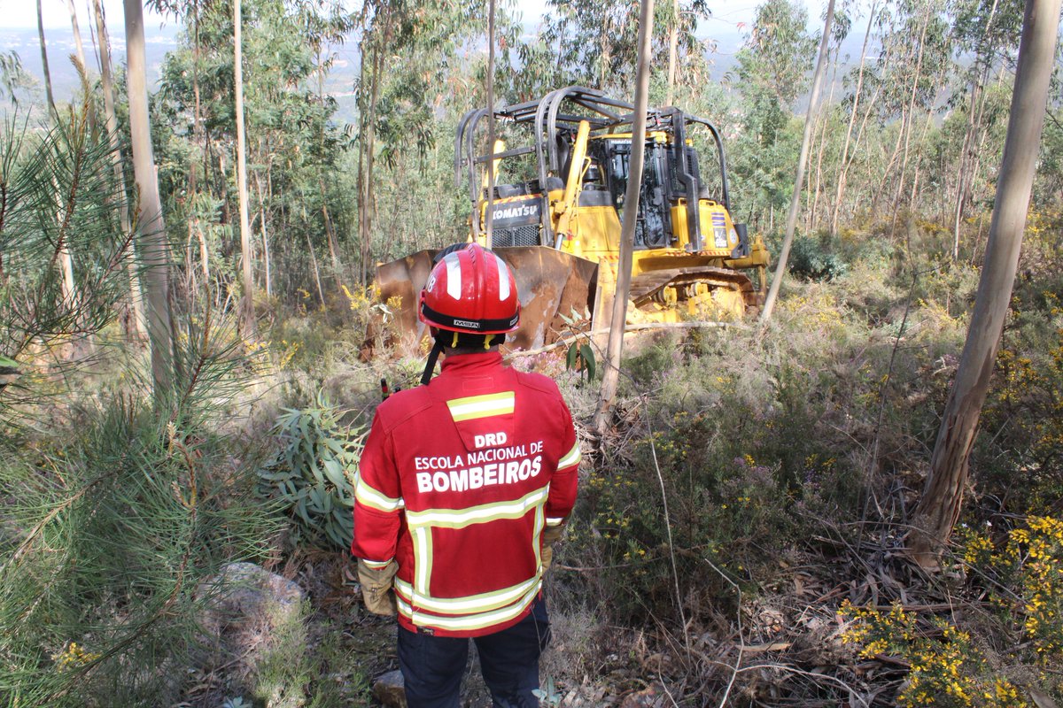 sobreincendiosforestales tweet media