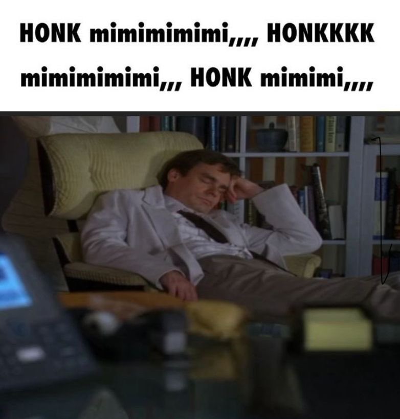 🄴lise ౨ৎ tweet media