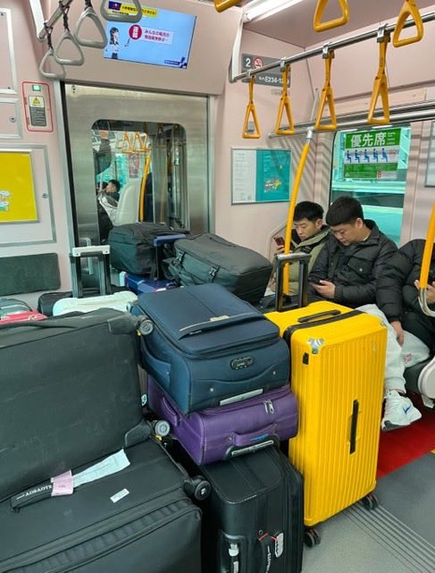 進撃のバズ動画 tweet media