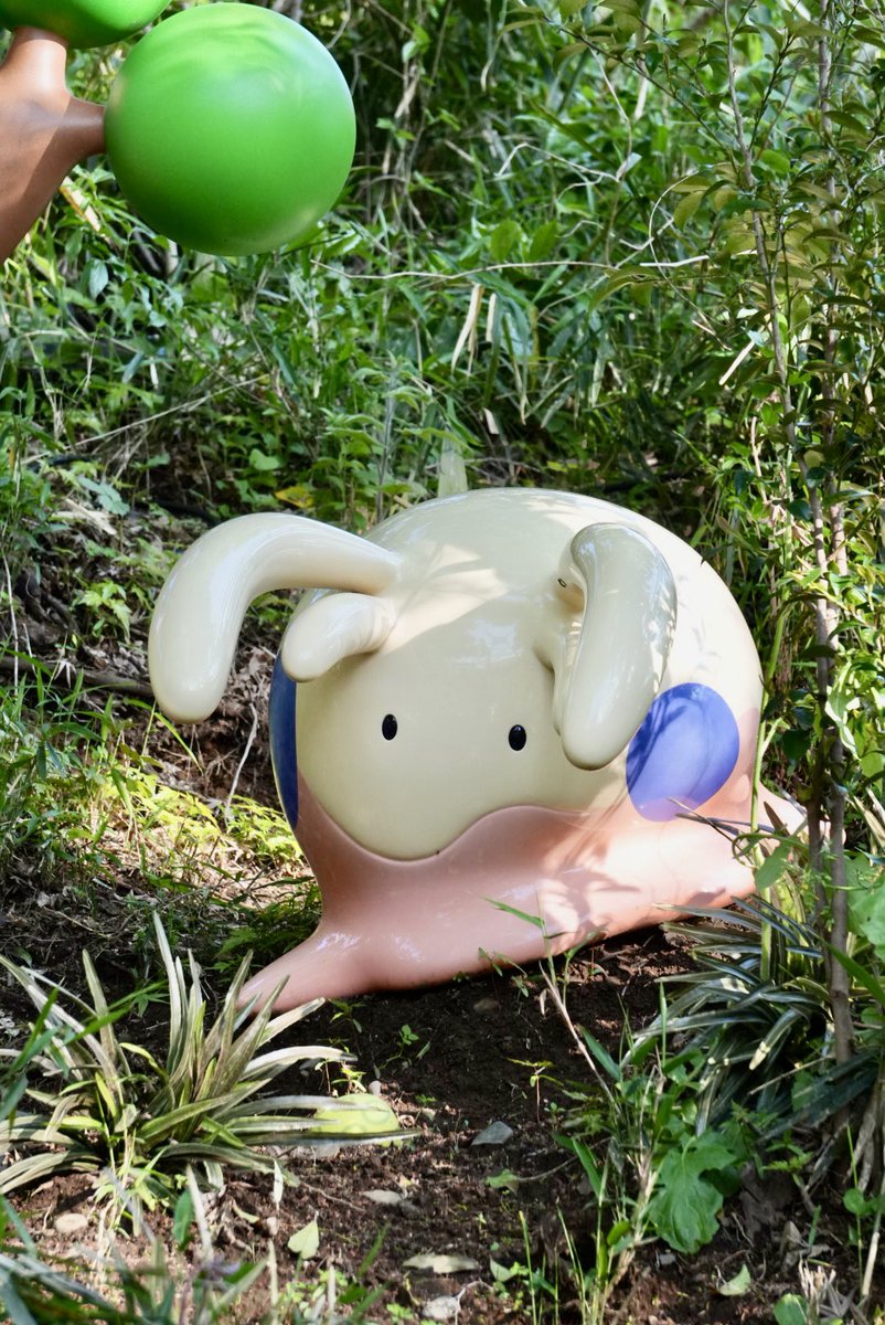 cameraRkigaru's tweet photo. 4/16ﾎﾟｹﾊﾟｰｸ7 https://t.co/Z2v9plHQwU