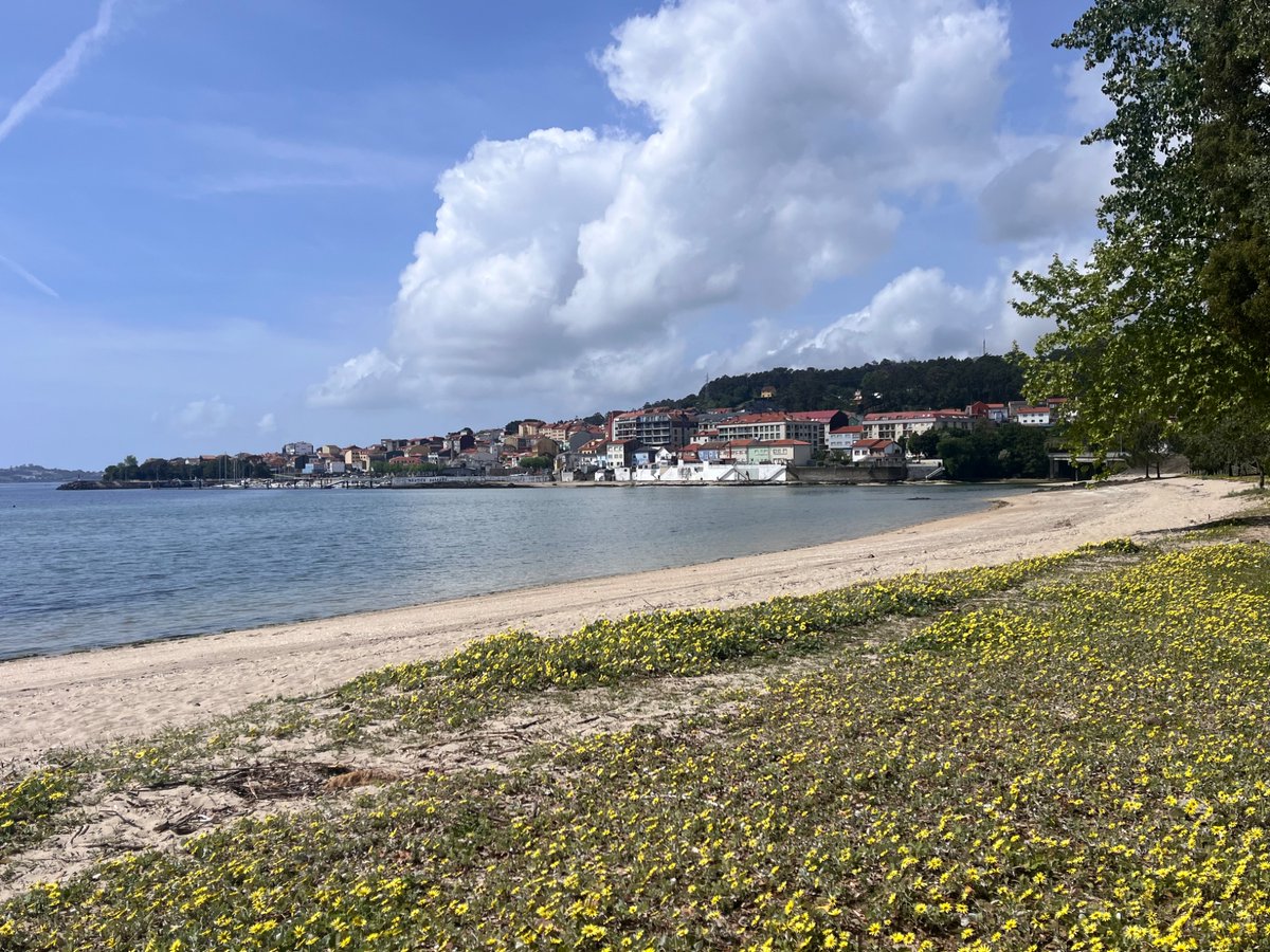 Àgueda V. tweet media