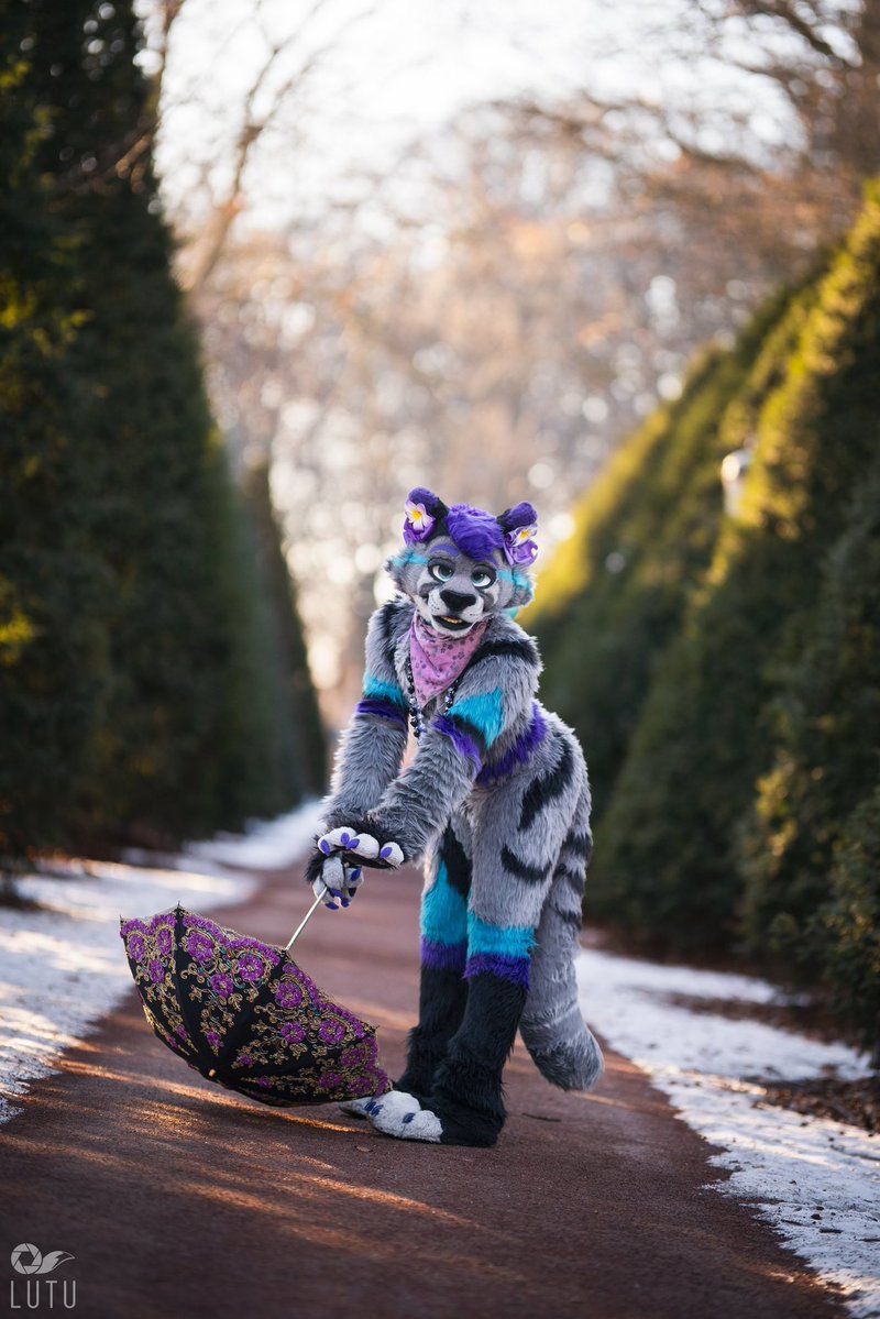 Limin Carnation 🦋 tweet media