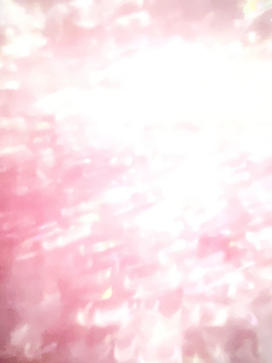 近藤 利紘 tweet media
