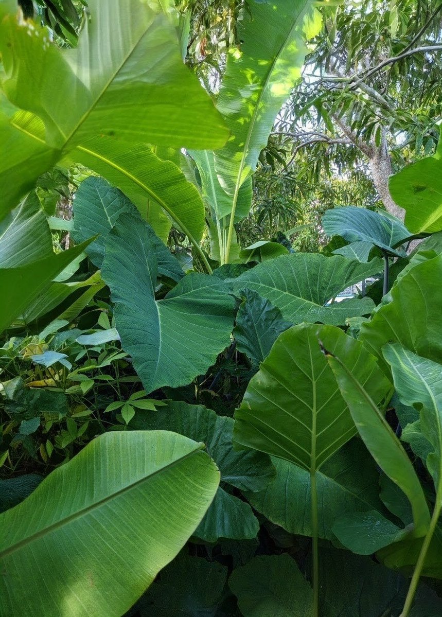 Ahmed Zahid tweet media