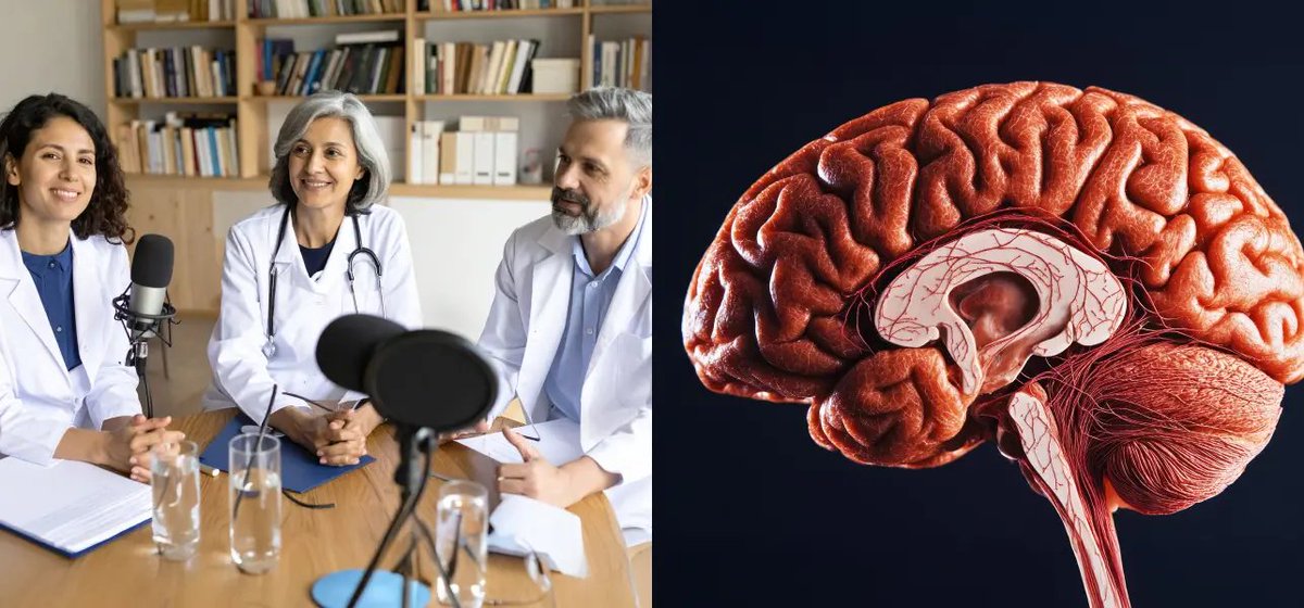 Dante Llantén Sánchez tweet media