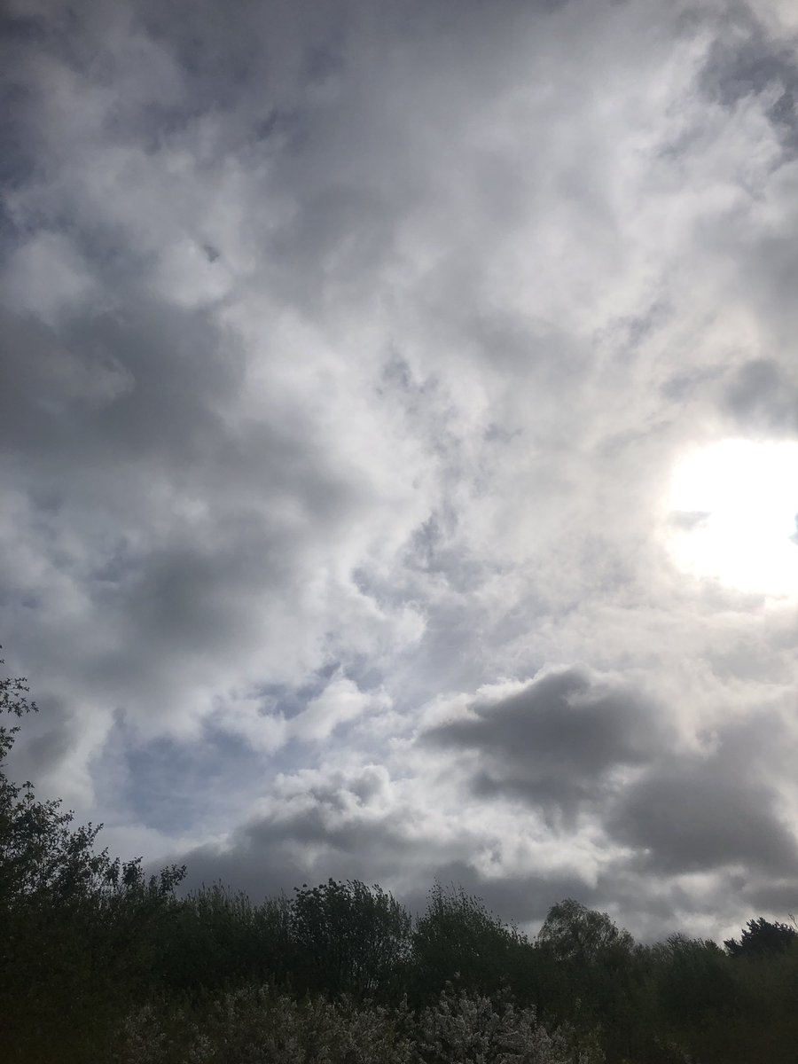 TubbyBats's tweet image. The #photos from todays #walk.