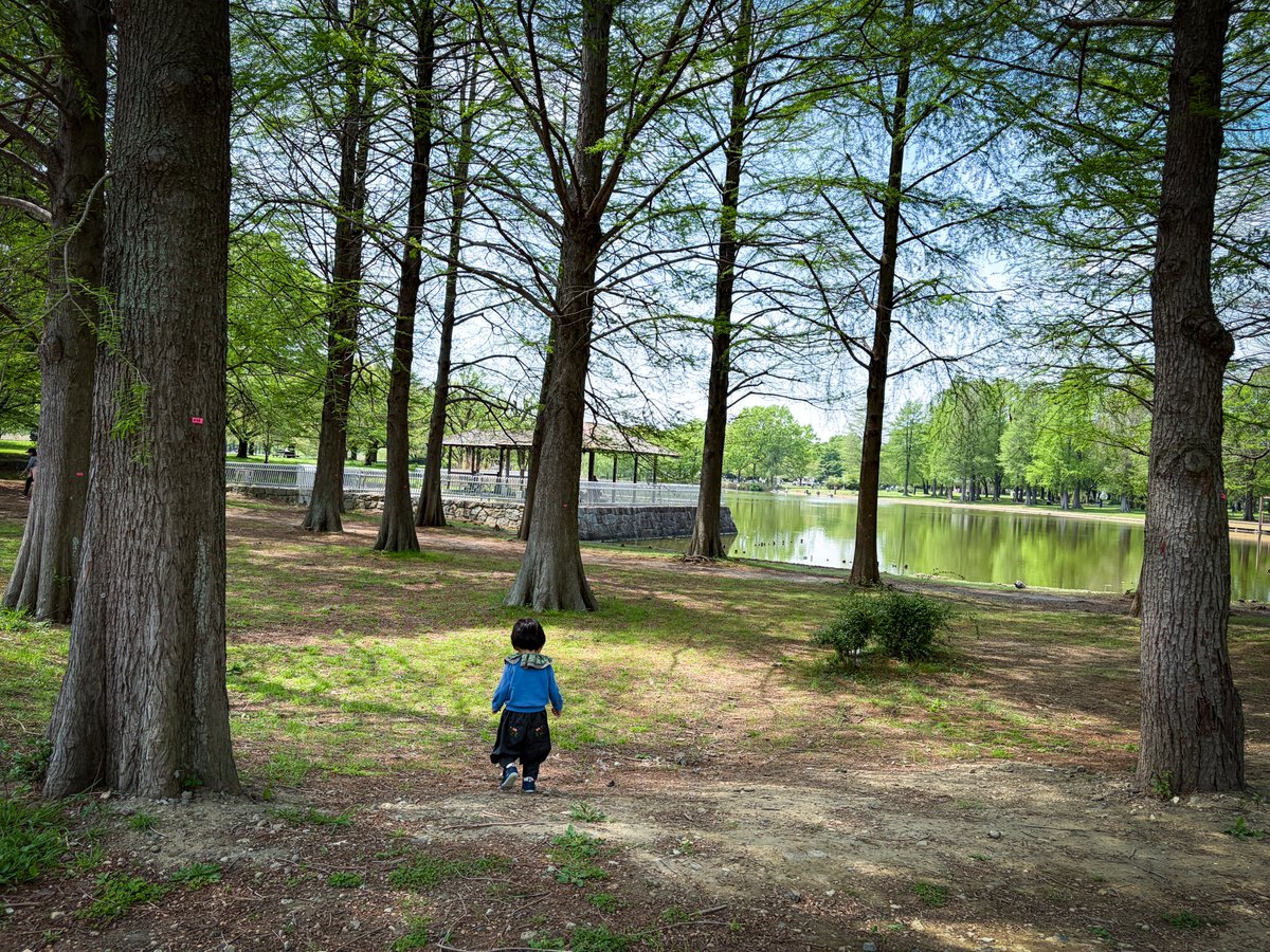 戸田江美 / デザイナー大家 tweet media