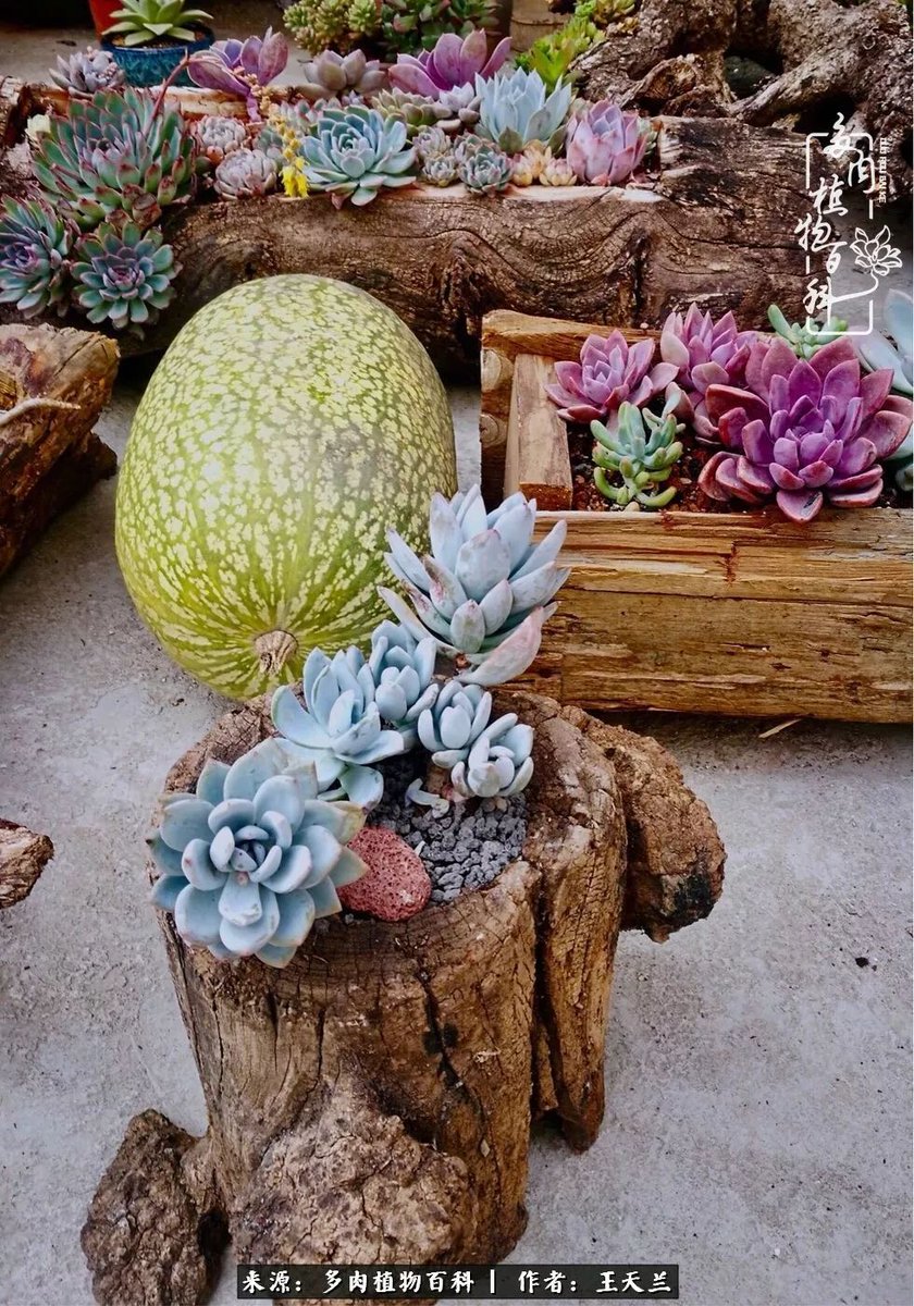 franco mocchi tweet media