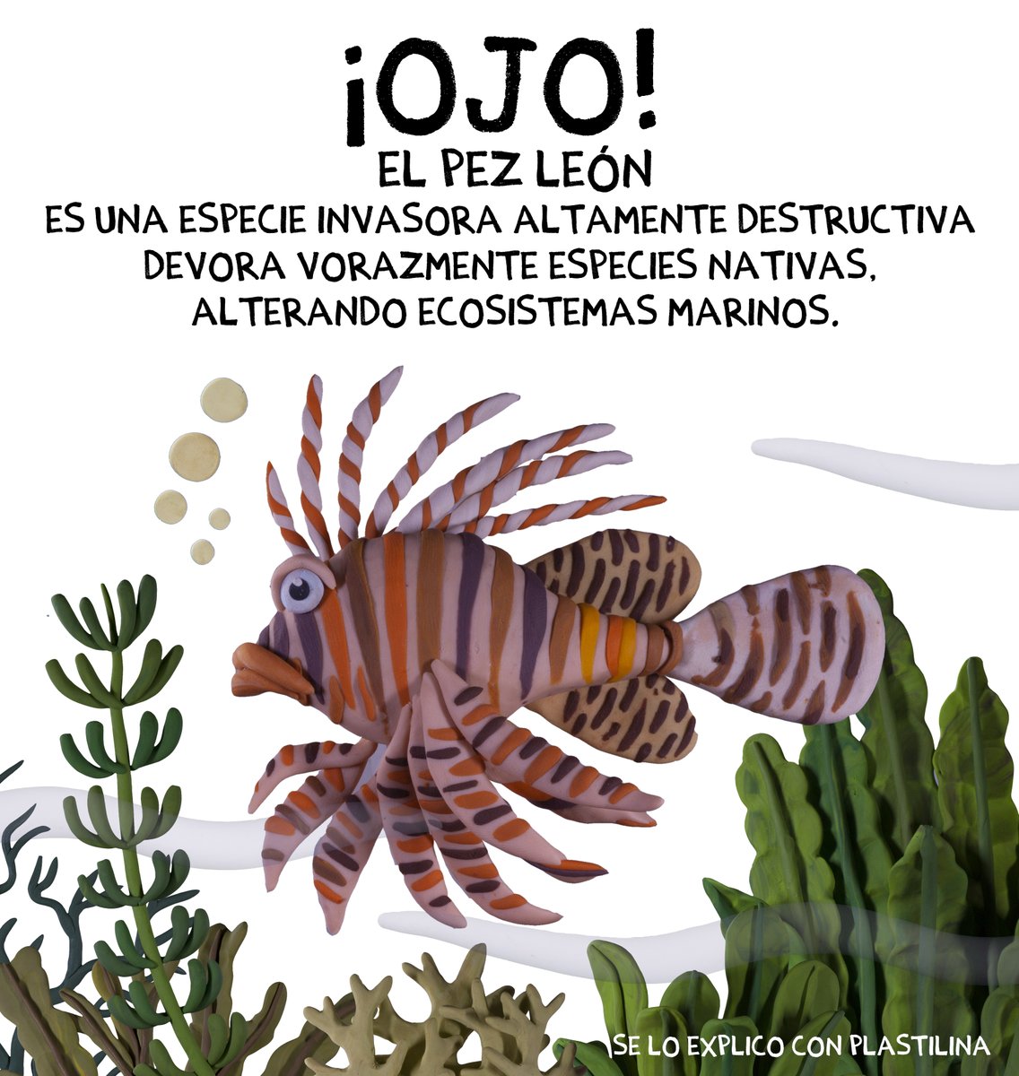 ¿Se lo explico con plastilina? tweet media