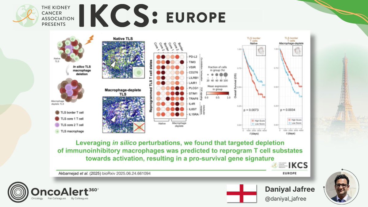 OncoAlert's tweet image. DAY One of OncoAlert 🚨 Coverage of #IKCSEU26
PreClinical Session Setting the Scientific Stage  Tumor Microenvironment  Translational Research in RCC  Presenter Dr. Daniyal Jafree 🇬🇧 

At IKCS, Daniyal Jafree will present work from the Wellcome Sanger Institute showing how AI can